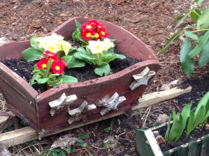 Hoping for spring! (Seen on my walk today)