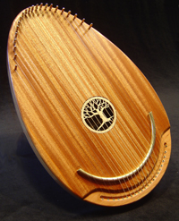 22 strings, 20" X 12.5"Lightweight, portable, gorgeous sound, anyone can play it!!