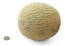 I love the comparison to the quarter - just in case you needed that.