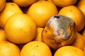 There's always a bad one in the bunch