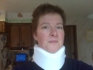 Flea collar court is now in session